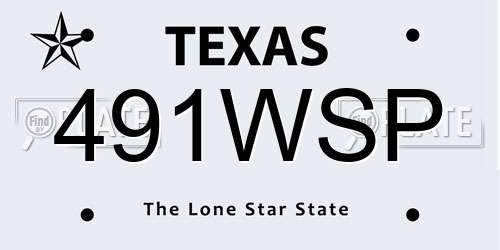 491WSP Texas License Plate