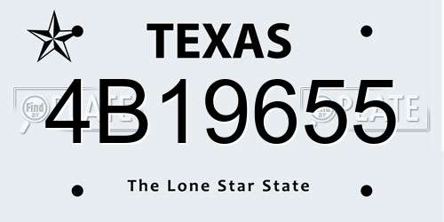 4B19655 Texas License Plate