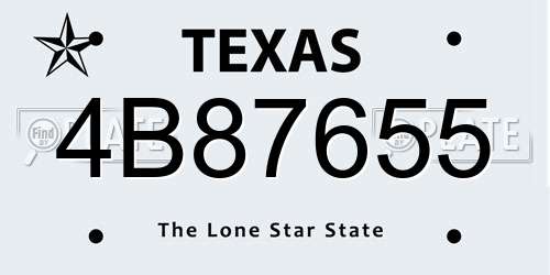4B87655 Texas License Plate