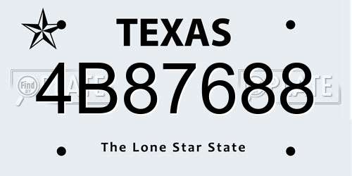 4B87688 Texas License Plate