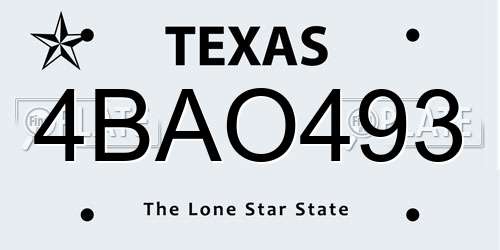 4BAO493 Texas License Plate