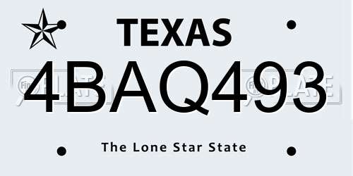 4BAQ493 Texas License Plate