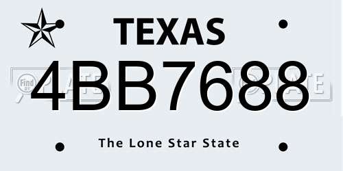 4BB7688 Texas License Plate