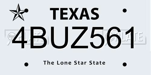 4BUZ561 Texas License Plate