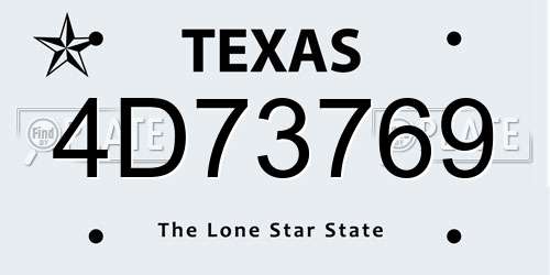 4D73769 Texas License Plate