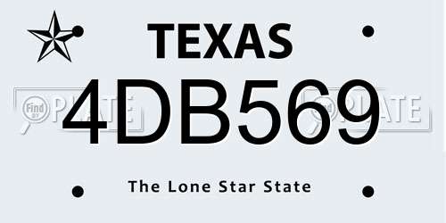 4DB569 Texas License Plate