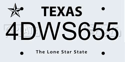 4DWS655 Texas License Plate
