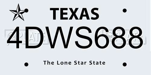4DWS688 Texas License Plate