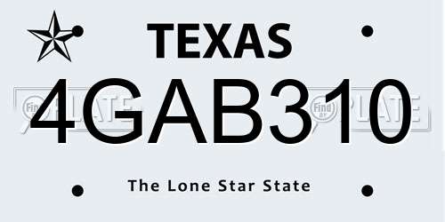4GAB310 Texas License Plate