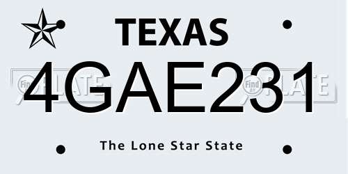 4GAE231 Texas License Plate