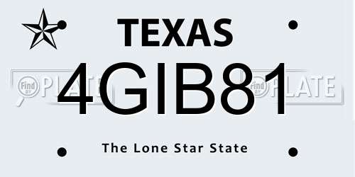 4GIB81 Texas License Plate
