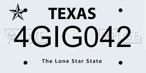 4GIG042 Texas License Plate