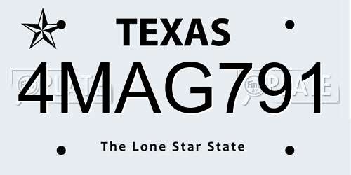 4MAG791 Texas License Plate
