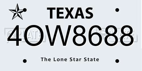 4OW8688 Texas License Plate