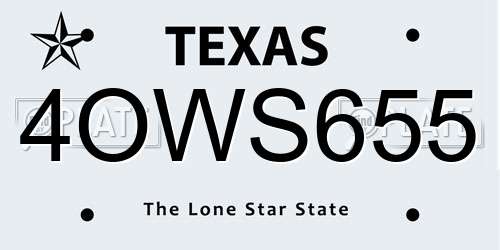 4OWS655 Texas License Plate