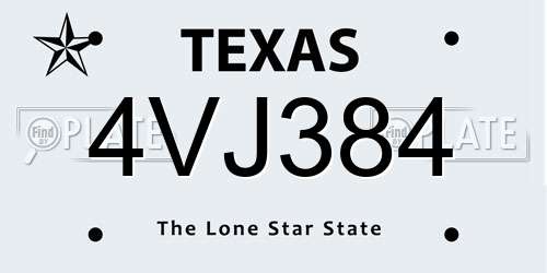4VJ384 Texas License Plate