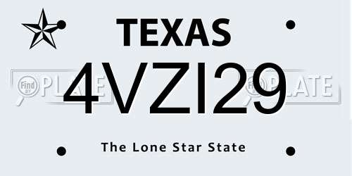 4VZI29 Texas License Plate