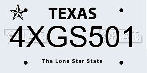 4XGS501 Texas License Plate