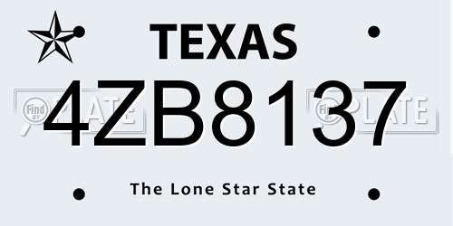 4ZB8137 Texas License Plate