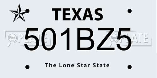 501BZ5 Texas License Plate