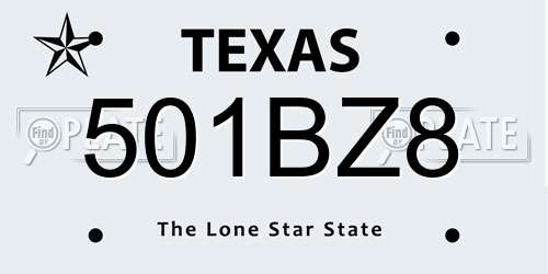 501BZ8 Texas License Plate