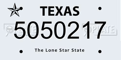 5050217 Texas License Plate