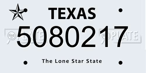 5080217 Texas License Plate