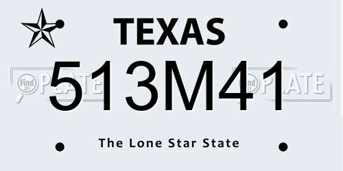 513M41 Texas License Plate