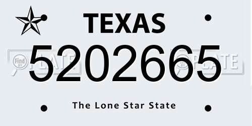 5202665 Texas License Plate