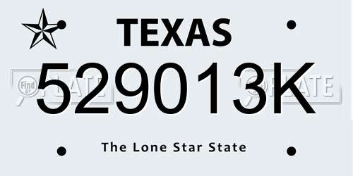 529013K Texas License Plate
