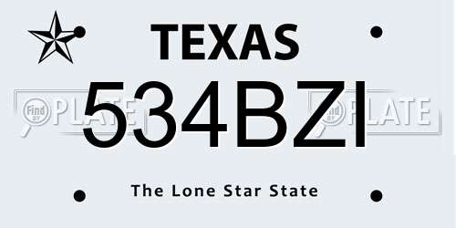 534BZI Texas License Plate