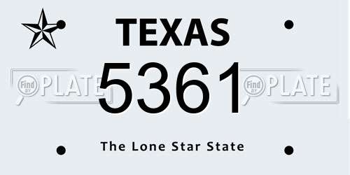 5361 Texas License Plate