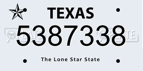 5387338 Texas License Plate