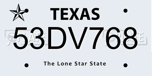 53DV768 Texas License Plate