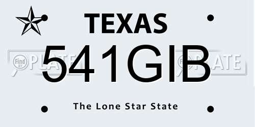 541GIB Texas License Plate