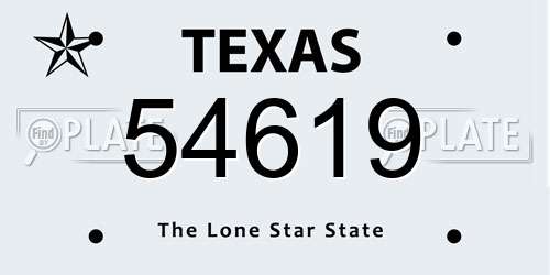54619 Texas License Plate