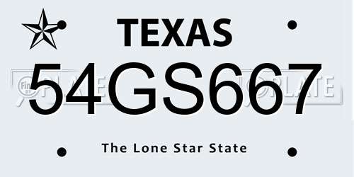 54GS667 Texas License Plate