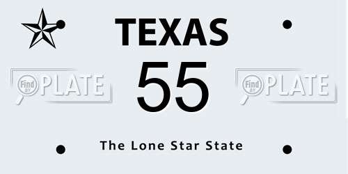 55 Texas License Plate