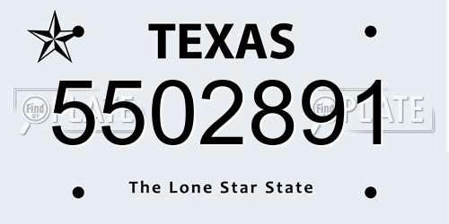 5502891 Texas License Plate