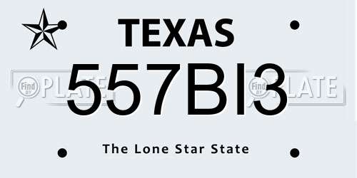 557BI3 Texas License Plate