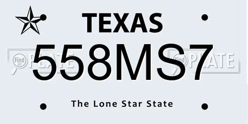 558MS7 Texas License Plate