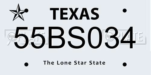 55BS034 Texas License Plate