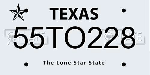 55TO228 Texas License Plate
