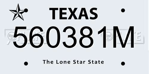 560381M Texas License Plate