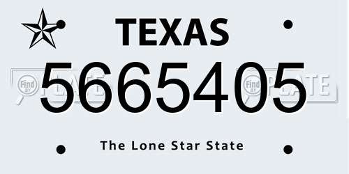 5665405 Texas License Plate
