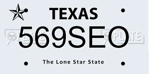 569SEO Texas License Plate