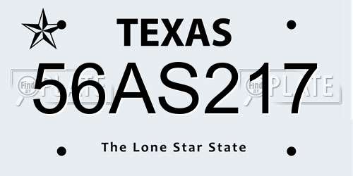 56AS217 Texas License Plate