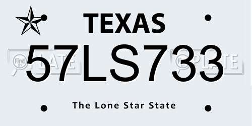 57LS733 Texas License Plate