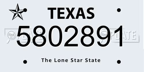 5802891 Texas License Plate