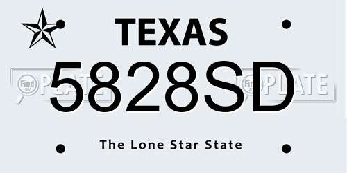 5828SD Texas License Plate